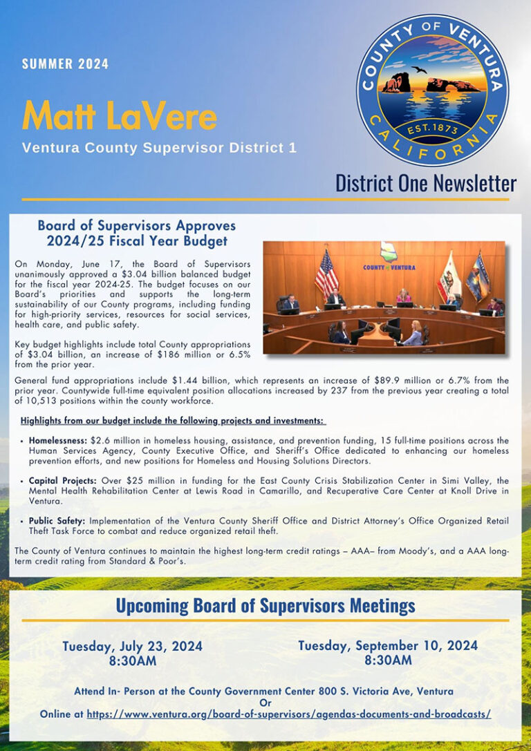 D1 Newsletter 2024 Summer